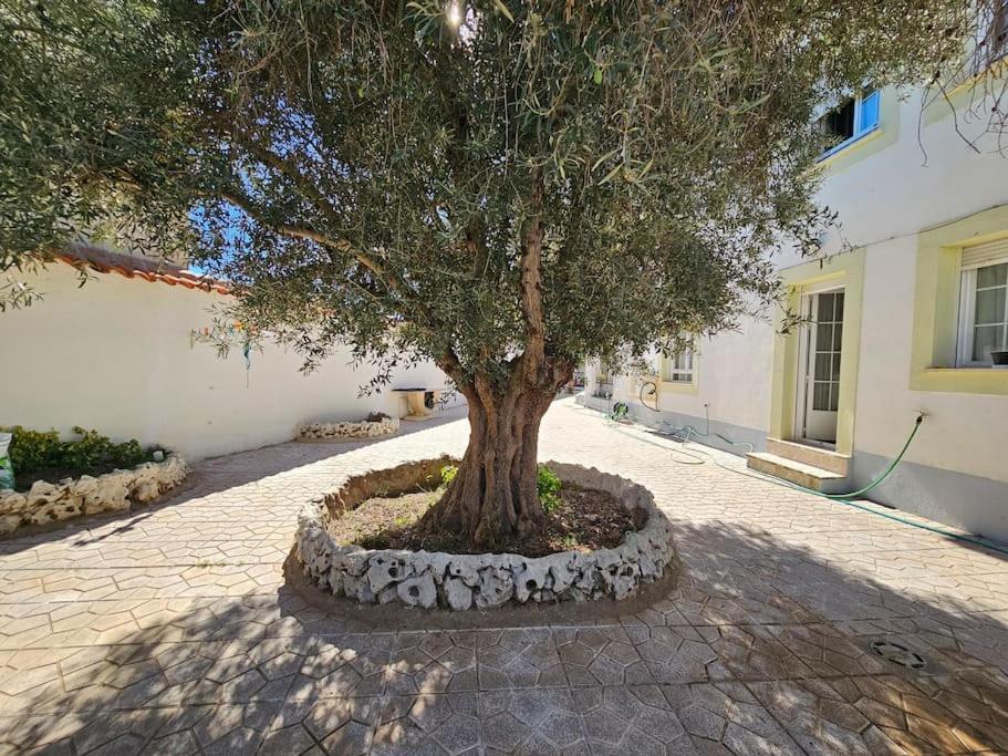 La Casa Del Arbol Villa Fuentiduena de Tajo Luaran gambar