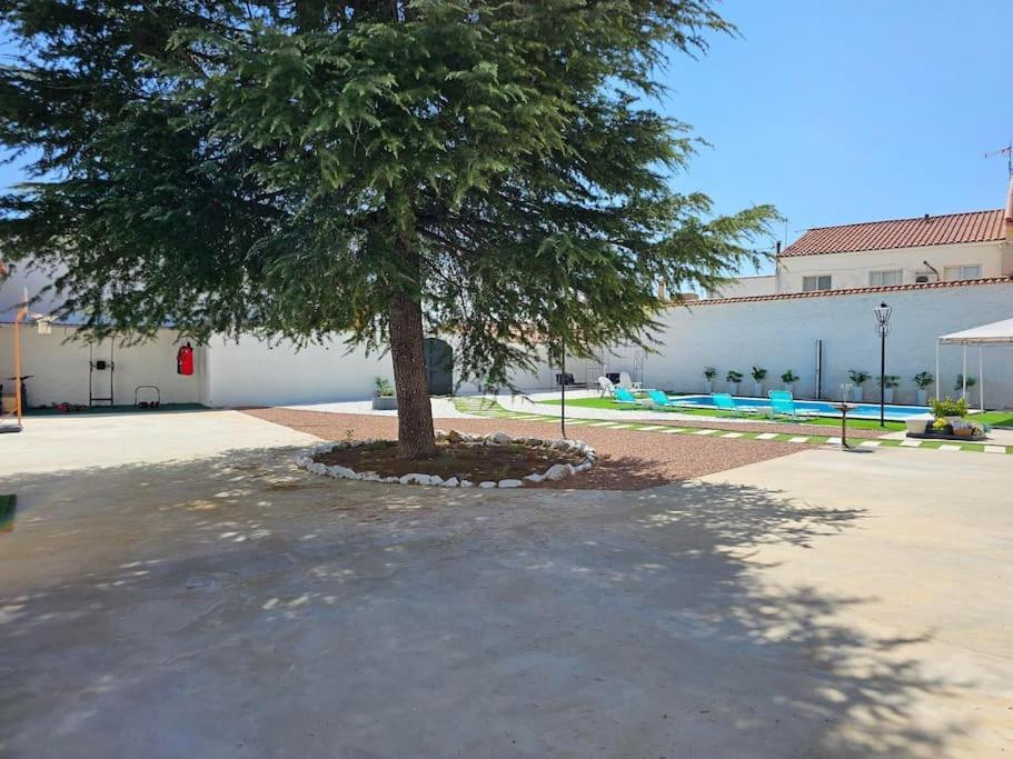 La Casa Del Arbol Villa Fuentiduena de Tajo Luaran gambar